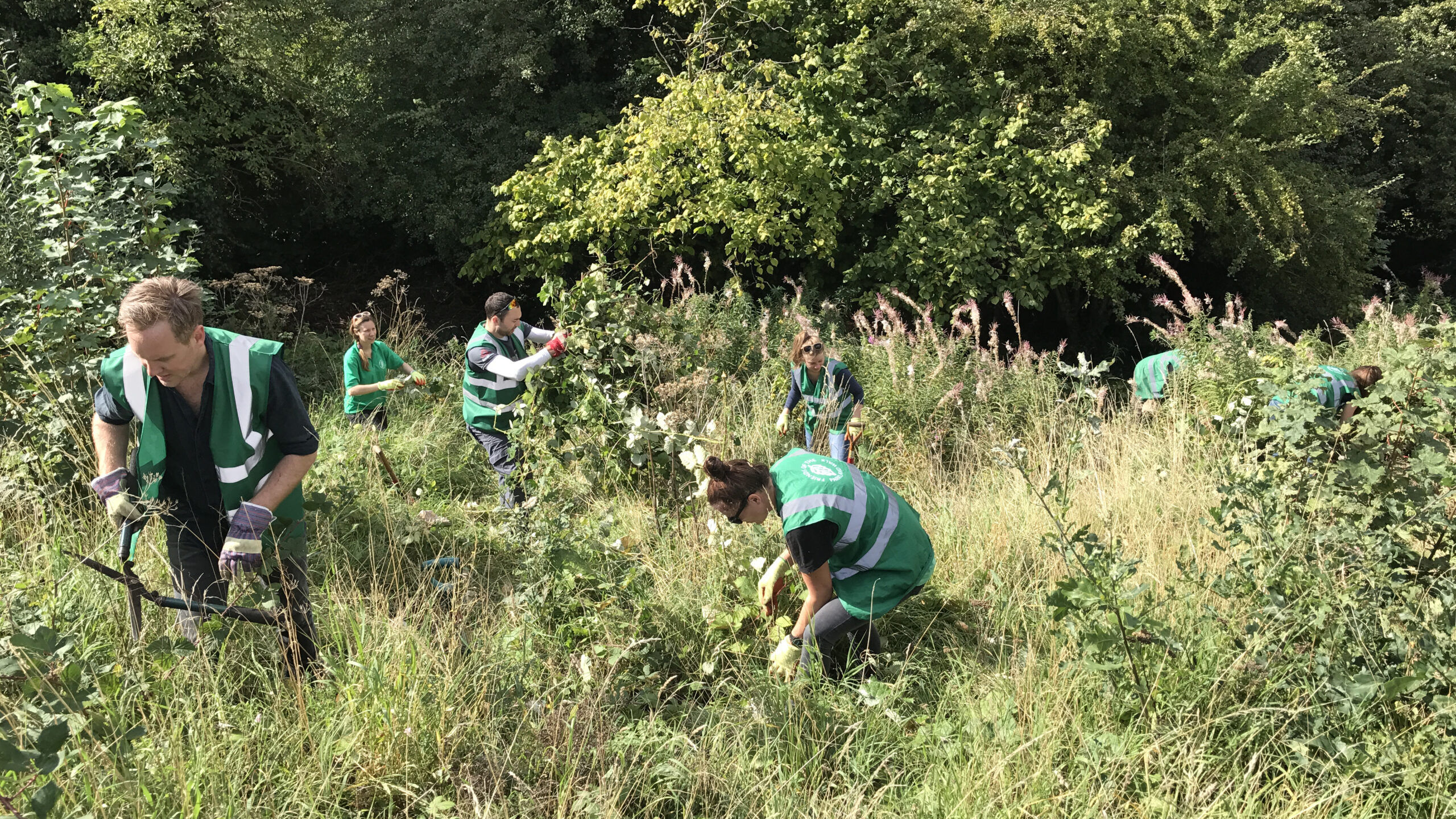 Volunteers cutting back on Stroud Green meadow